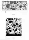 Fig. 02 - Cermet body and a method of making a cermet body