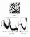 Fig. 06 - PREPARATION OF FePt AND CoPt NANOPARTICLES