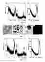 Fig. 08 - PREPARATION OF FePt AND CoPt NANOPARTICLES