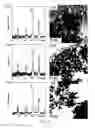 Fig. 09 - PREPARATION OF FePt AND CoPt NANOPARTICLES