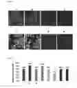Fig. 33 - Fluorescent compounds