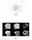Fig. 02 - Diagnostic agent composition and associated methods thereof