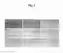 Fig. 06 - Composition for Improving Skin Condition Comprising Extract from Black Tea as Active Ingredient