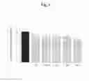 Fig. 09 - Composition for Improving Skin Condition Comprising Extract from Black Tea as Active Ingredient
