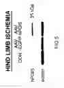 Fig. 06 - DRUG COMPOSITION FOR ANGIOGENESIS THERAPY
