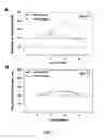 Fig. 04 - Composition for inducing migration of neural stem cells containing periostin as effective ingredient