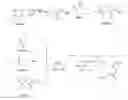 Fig. 01 - Thermoresponsive, biodegradable, elastomeric material and uses therefor