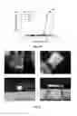 Fig. 07 - Thermoresponsive, biodegradable, elastomeric material and uses therefor