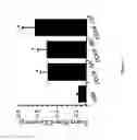 Fig. 02 - Methods and compositions for modulation of blood-neural barrier