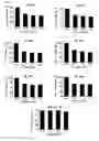 Fig. 07 - Antibodies that specifically bind to A beta oligomers and use thereof