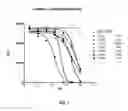 Fig. 02 - Combination therapy with MDM2 and EFGR inhibitors