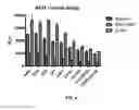 Fig. 06 - Combination therapy with MDM2 and EFGR inhibitors