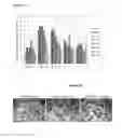 Fig. 27 - C-Met antibody combinations