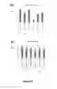 Fig. 33 - C-Met antibody combinations