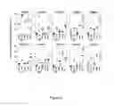 Fig. 07 - Porphyromonas gingivalis polypeptides