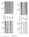 Fig. 05 - Methods and Compositions for Treatment of Tumor Metastasis