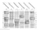 Fig. 01 - FOXM1 peptides and immunogenic compositions containing them