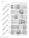 Fig. 02 - FOXM1 peptides and immunogenic compositions containing them