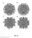 Fig. 04 - Antitoxin and vaccine platform based on nodavirus VLPS
