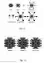 Fig. 10 - Antitoxin and vaccine platform based on nodavirus VLPS
