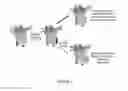 Fig. 02 - Compositions and methods for cardiac therapy