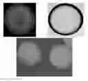 Fig. 01 - Method of producing microbeads