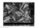 Fig. 01 - Injectable depot formulation comprising crystals of iloperidone