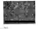 Fig. 03 - Injectable depot formulation comprising crystals of iloperidone