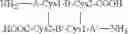 Fig. 06 - Meningococcal Vaccine Based on Lipooligosaccharide (LOS) and Neisseria Meningitidis Protein