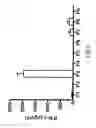 Fig. 06 - EXPANDING THE T CELL REPERTOIRE TO INCLUDE SUBDOMINANT EPITOPES BY VACCINATION WITH ANTIGENS DELIVERED AS PROTEIN FRAGMENTS OR PEPTIDE COCKTAILS