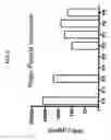 Fig. 07 - EXPANDING THE T CELL REPERTOIRE TO INCLUDE SUBDOMINANT EPITOPES BY VACCINATION WITH ANTIGENS DELIVERED AS PROTEIN FRAGMENTS OR PEPTIDE COCKTAILS