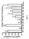Fig. 08 - EXPANDING THE T CELL REPERTOIRE TO INCLUDE SUBDOMINANT EPITOPES BY VACCINATION WITH ANTIGENS DELIVERED AS PROTEIN FRAGMENTS OR PEPTIDE COCKTAILS