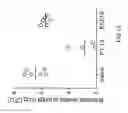 Fig. 13 - EXPANDING THE T CELL REPERTOIRE TO INCLUDE SUBDOMINANT EPITOPES BY VACCINATION WITH ANTIGENS DELIVERED AS PROTEIN FRAGMENTS OR PEPTIDE COCKTAILS