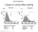 Fig. 07 - Methods for enhancing genome stability and telomere elongation in embryonic stem cells
