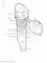 Fig. 01 - BOTTLE TOP AERATOR