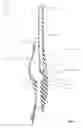 Fig. 06 - BOTTLE TOP AERATOR