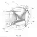 Fig. 03 - Cookie Shaping Device
