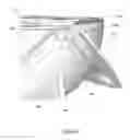 Fig. 06 - Cookie Shaping Device