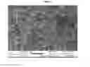 Fig. 08 - Quick-cook grains and pulses