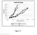 Fig. 04 - LIQUID FORMULATION CONTAINING PROTEIN AND LAMBDA CARRAGEENAN FROM HALYMENIALES