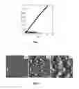 Fig. 02 - Preparation of layer-by-layer materials and coatings from ionic liquids
