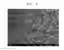 Fig. 05 - COLOR CONVERSION LUMINESCENT SHEET AND FABRICATION METHOD FOR THE SAME