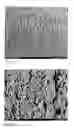 Fig. 06 - Method for joining core laminations by adhesive force to form a soft-magnetic laminated core