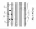 Fig. 02 - MULTI-EXPOSURE LITHOGRAPHY EMPLOYING DIFFERENTIALLY SENSITIVE PHOTORESIST LAYERS