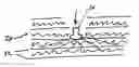 Fig. 01 - Ballistic Composites and Articles