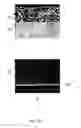 Fig. 08 - Dental application coating