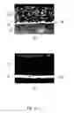 Fig. 11 - Dental application coating