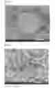 Fig. 05 - Process for production of silicon-carbide-coated carbon base material, silicon-carbide-coated carbon base material, sintered (silicon carbide)-carbon complex, ceramic-coated sintered (silicon carbide)-carbon complex, and process for production of sintered (silicon carbide)-carbon complex