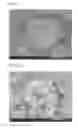 Fig. 09 - Process for production of silicon-carbide-coated carbon base material, silicon-carbide-coated carbon base material, sintered (silicon carbide)-carbon complex, ceramic-coated sintered (silicon carbide)-carbon complex, and process for production of sintered (silicon carbide)-carbon complex