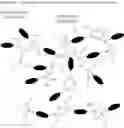 Fig. 08 - FUSER MEMBER AND COMPOSITION